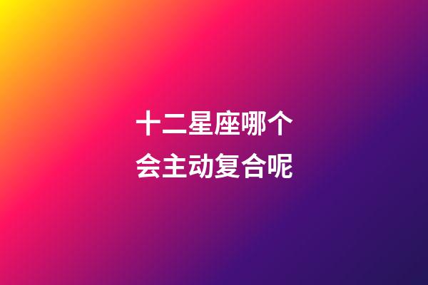 十二星座哪个会主动复合呢-第1张-星座运势-玄机派