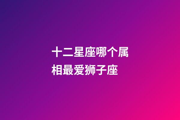 十二星座哪个属相最爱狮子座-第1张-星座运势-玄机派