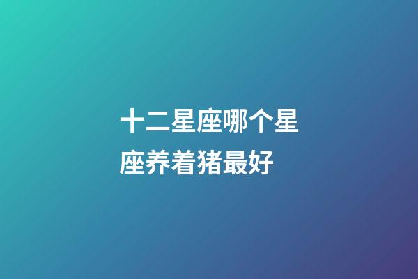 十二星座哪个星座养着猪最好-第1张-星座运势-玄机派