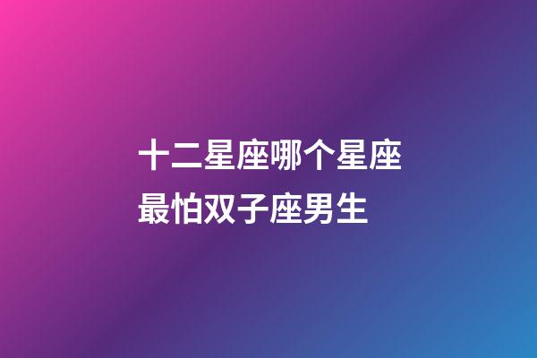 十二星座哪个星座最怕双子座男生-第1张-星座运势-玄机派