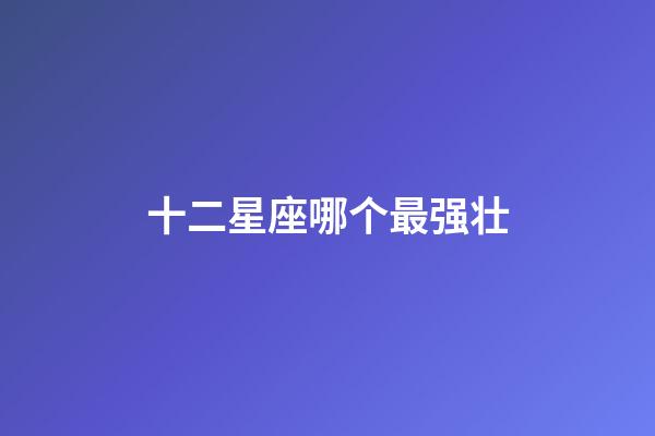 十二星座哪个最强壮-第1张-星座运势-玄机派