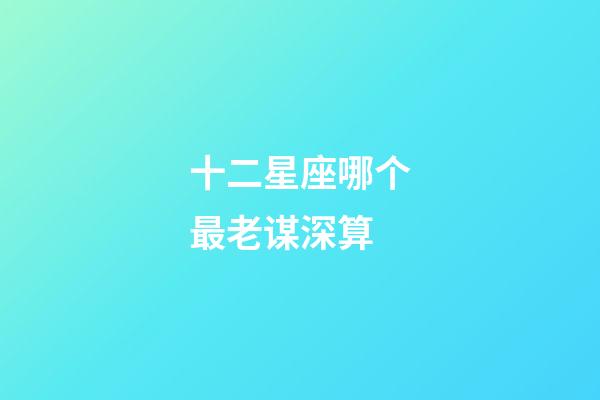 十二星座哪个最老谋深算-第1张-星座运势-玄机派