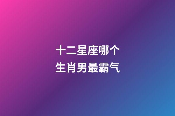十二星座哪个生肖男最霸气-第1张-星座运势-玄机派