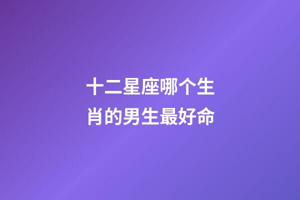 十二星座哪个生肖的男生最好命-第1张-星座运势-玄机派