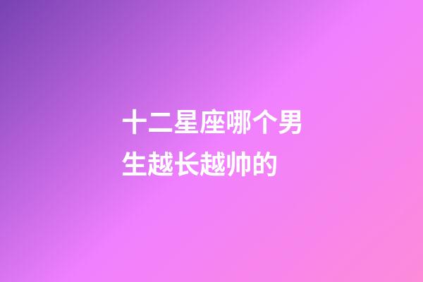 十二星座哪个男生越长越帅的-第1张-星座运势-玄机派