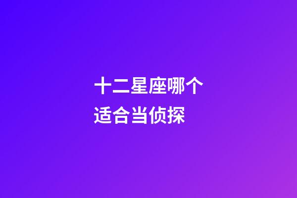 十二星座哪个适合当侦探-第1张-星座运势-玄机派