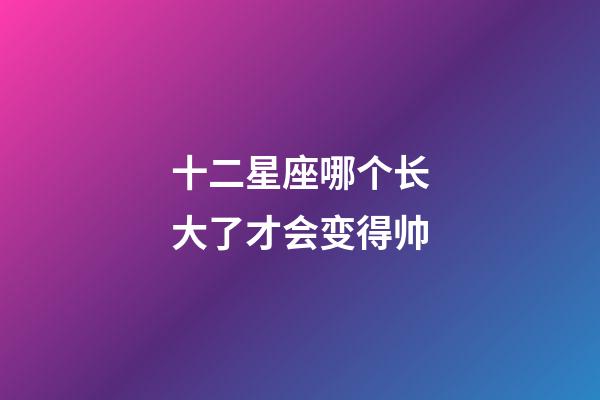 十二星座哪个长大了才会变得帅-第1张-星座运势-玄机派