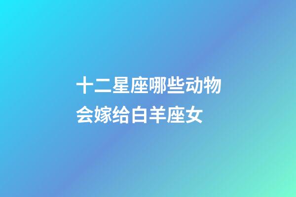 十二星座哪些动物会嫁给白羊座女-第1张-星座运势-玄机派