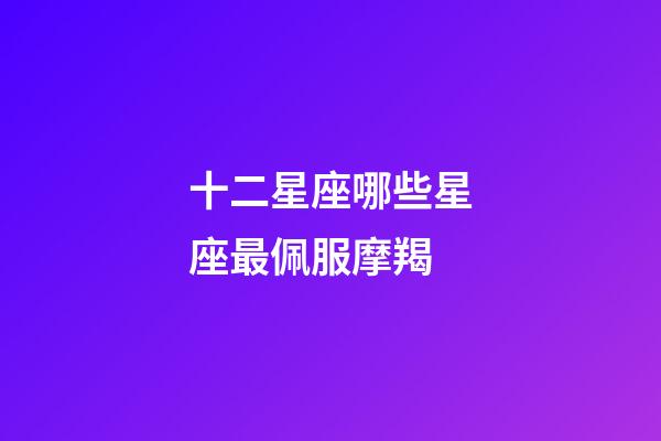 十二星座哪些星座最佩服摩羯-第1张-星座运势-玄机派