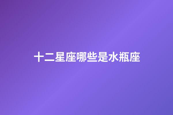 十二星座哪些是水瓶座-第1张-星座运势-玄机派