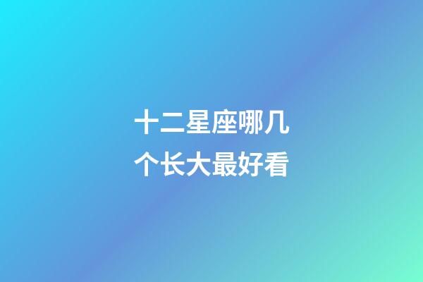 十二星座哪几个长大最好看-第1张-星座运势-玄机派