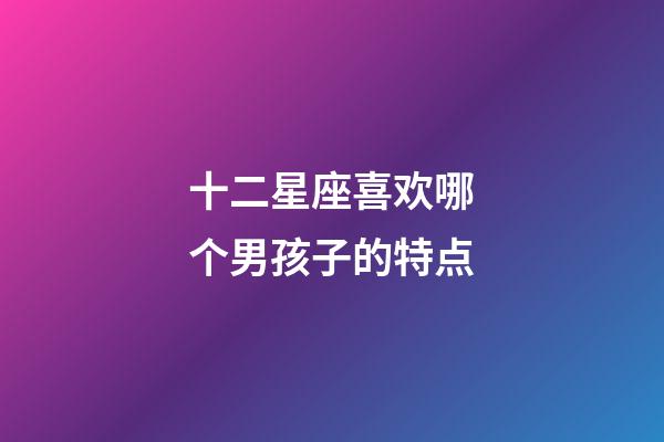 十二星座喜欢哪个男孩子的特点-第1张-星座运势-玄机派