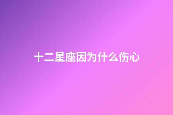 十二星座因为什么伤心-第1张-星座运势-玄机派