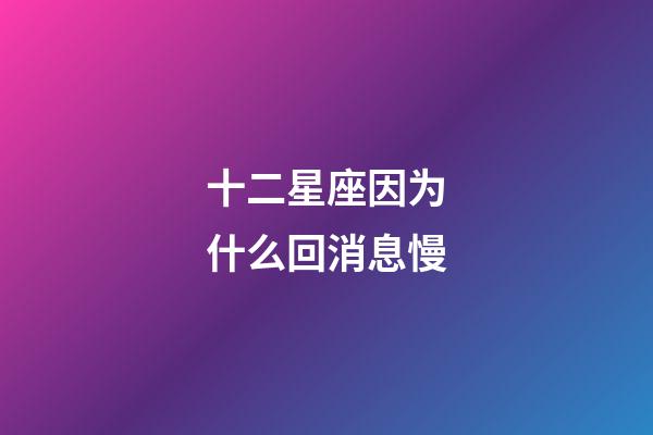 十二星座因为什么回消息慢-第1张-星座运势-玄机派