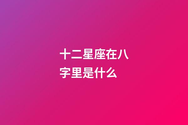 十二星座在八字里是什么