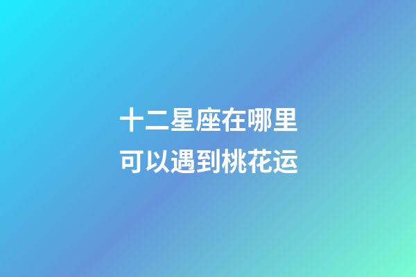 十二星座在哪里可以遇到桃花运-第1张-星座运势-玄机派