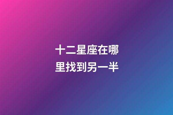 十二星座在哪里找到另一半-第1张-星座运势-玄机派