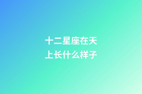 十二星座在天上长什么样子-第1张-星座运势-玄机派