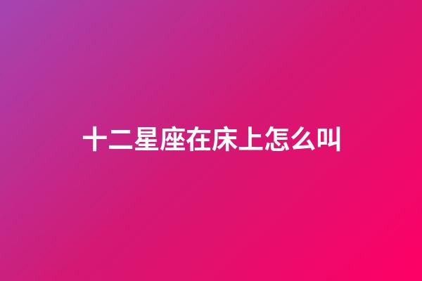 十二星座在床上怎么叫-第1张-星座运势-玄机派