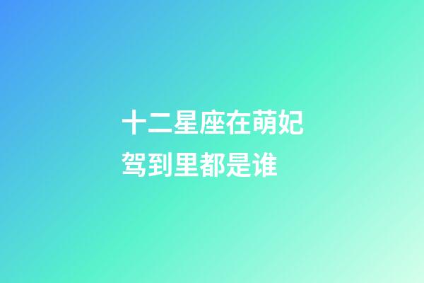 十二星座在萌妃驾到里都是谁-第1张-星座运势-玄机派