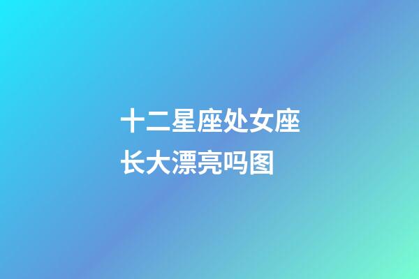 十二星座处女座长大漂亮吗图-第1张-星座运势-玄机派