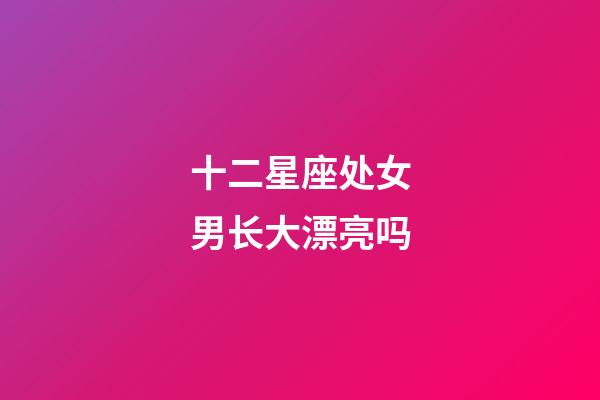 十二星座处女男长大漂亮吗-第1张-星座运势-玄机派