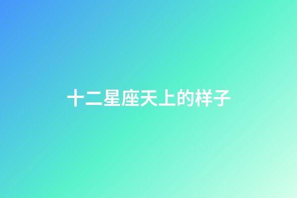 十二星座天上的样子