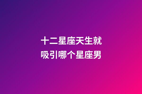 十二星座天生就吸引哪个星座男-第1张-星座运势-玄机派