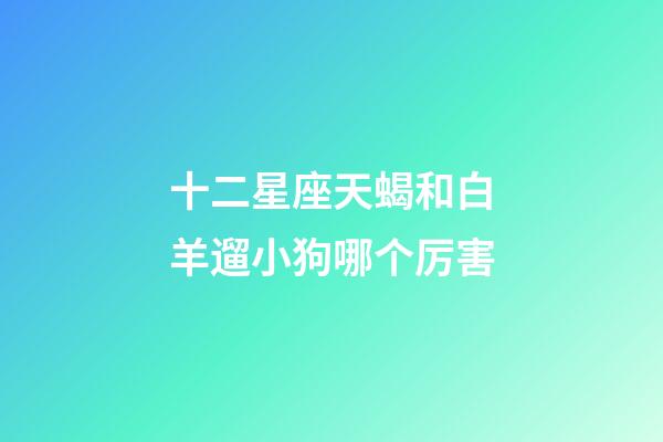 十二星座天蝎和白羊遛小狗哪个厉害-第1张-星座运势-玄机派