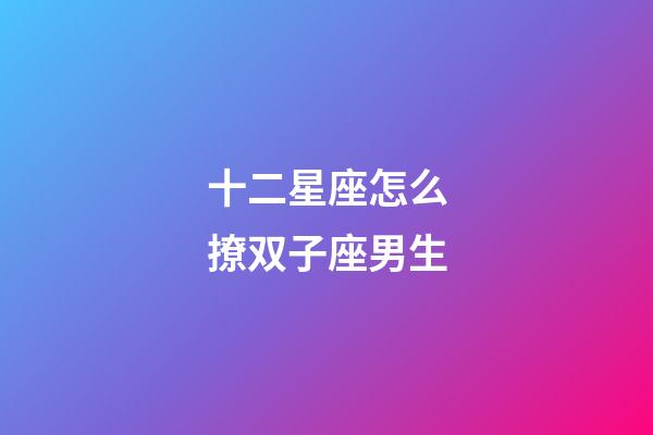 十二星座怎么撩双子座男生-第1张-星座运势-玄机派