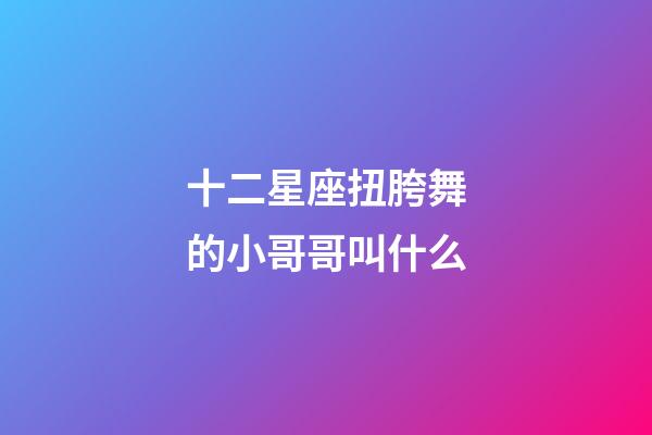 十二星座扭胯舞的小哥哥叫什么