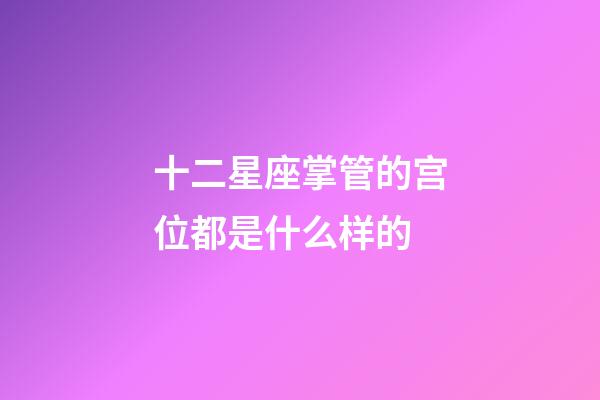 十二星座掌管的宫位都是什么样的-第1张-星座运势-玄机派