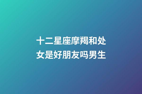 十二星座摩羯和处女是好朋友吗男生-第1张-星座运势-玄机派