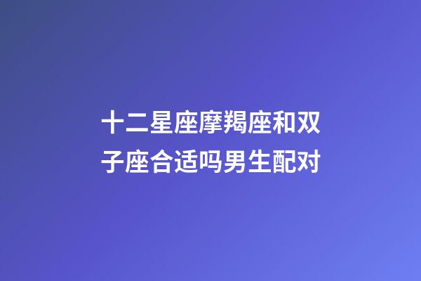 十二星座摩羯座和双子座合适吗男生配对-第1张-星座运势-玄机派