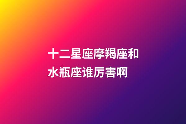 十二星座摩羯座和水瓶座谁厉害啊-第1张-星座运势-玄机派