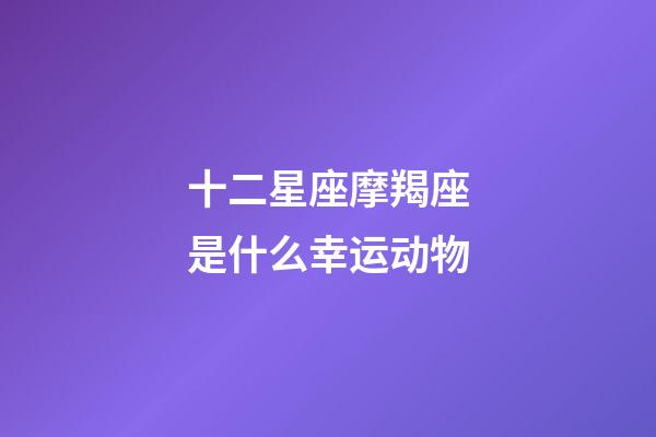 十二星座摩羯座是什么幸运动物-第1张-星座运势-玄机派