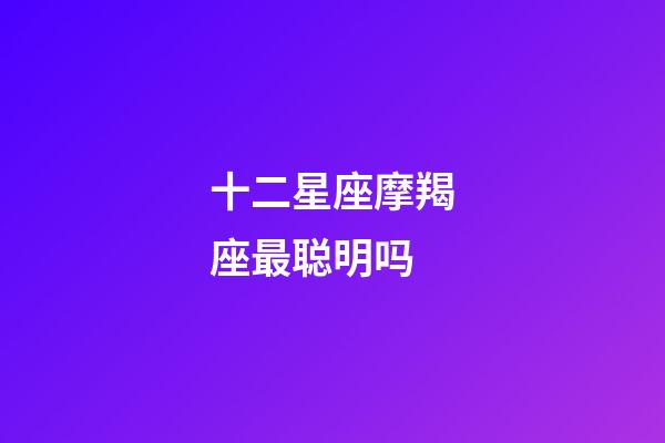 十二星座摩羯座最聪明吗-第1张-星座运势-玄机派