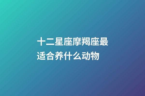 十二星座摩羯座最适合养什么动物-第1张-星座运势-玄机派