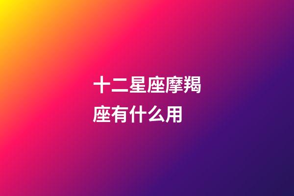 十二星座摩羯座有什么用-第1张-星座运势-玄机派