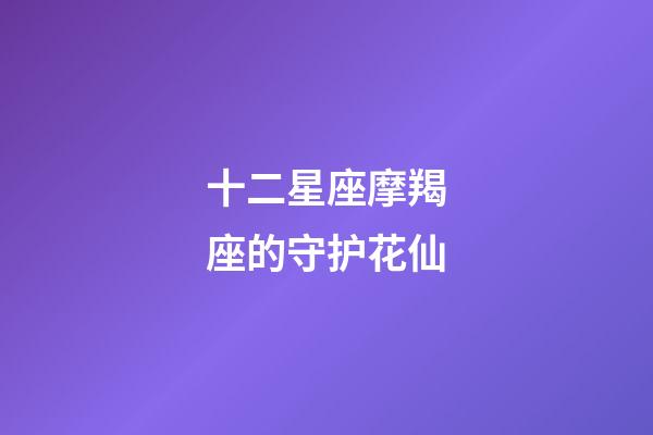 十二星座摩羯座的守护花仙-第1张-星座运势-玄机派