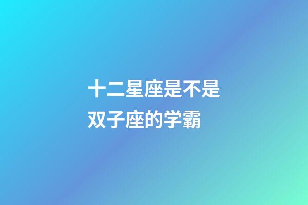 十二星座是不是双子座的学霸-第1张-星座运势-玄机派
