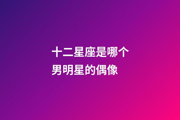 十二星座是哪个男明星的偶像-第1张-星座运势-玄机派