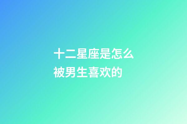 十二星座是怎么被男生喜欢的-第1张-星座运势-玄机派