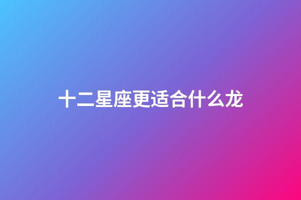 十二星座更适合什么龙-第1张-星座运势-玄机派
