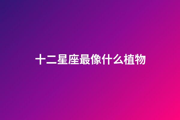 十二星座最像什么植物-第1张-星座运势-玄机派