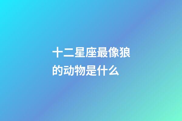 十二星座最像狼的动物是什么-第1张-星座运势-玄机派