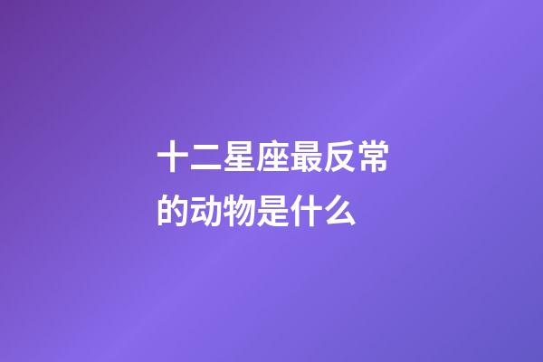 十二星座最反常的动物是什么