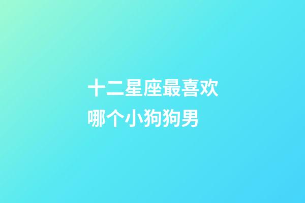 十二星座最喜欢哪个小狗狗男-第1张-星座运势-玄机派