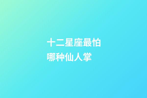 十二星座最怕哪种仙人掌-第1张-星座运势-玄机派