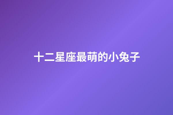 十二星座最萌的小兔子-第1张-星座运势-玄机派